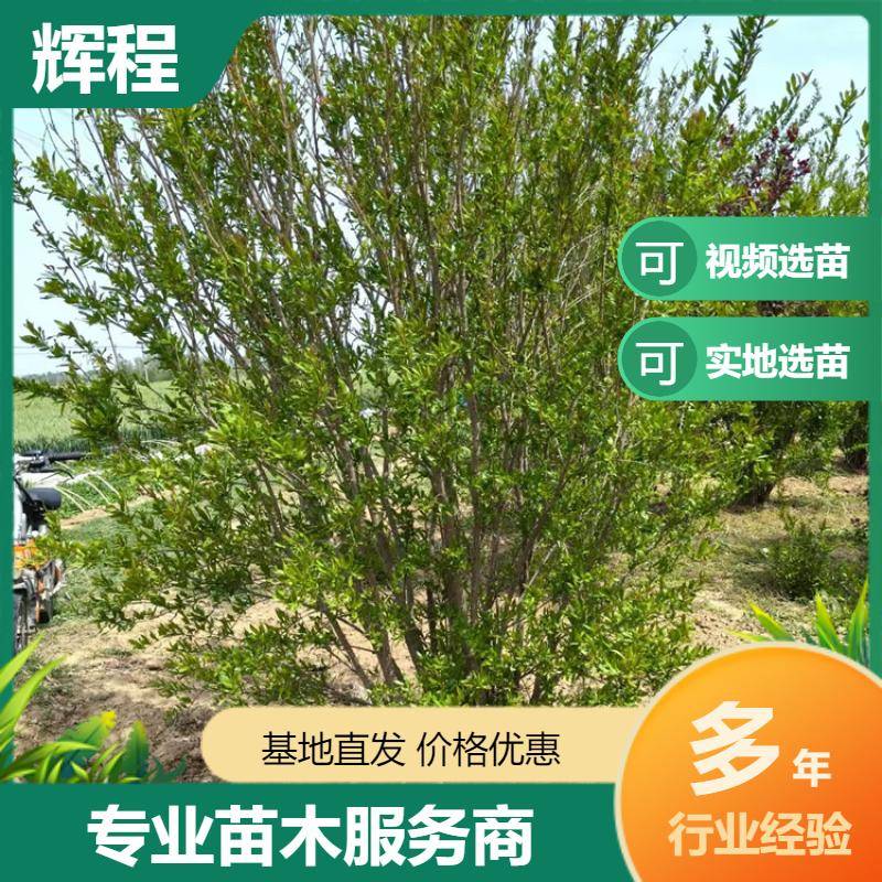 202500506/image/c8nyugr6rebphbyn6tlbsahhoug0ditmjpijvhoobt0wnjqfxdunjdmzv3. Jpg