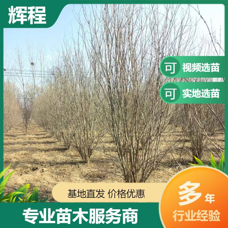 20250056/image/pqrqmhvdy2laztidvpxv2ycyjvx8wdltxrxrvjvlqmgayao1epstpq5g8b. Jpg