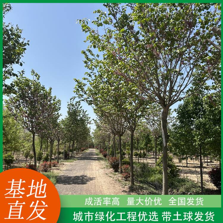 20250423/image/uj06db26vsd6d9pvl3lxix.jpg