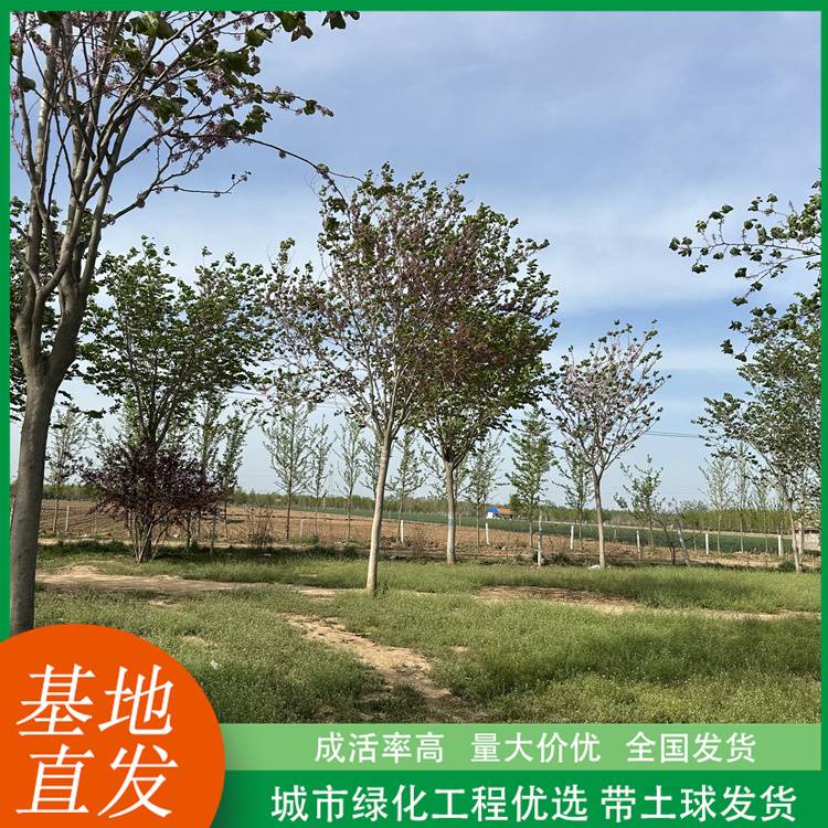 20250423/image/sxbgmelo2898sxrpb1qzb.jpg