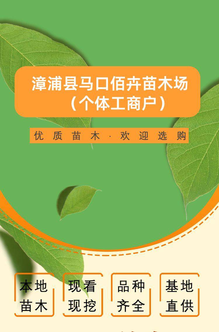 detail_pages/20240318/VPFTVsG6qhDziVYs1aswsr5gdktP3xkDJuU0Rd2ehSral5sTHPIy4TXN7jOz.jpg