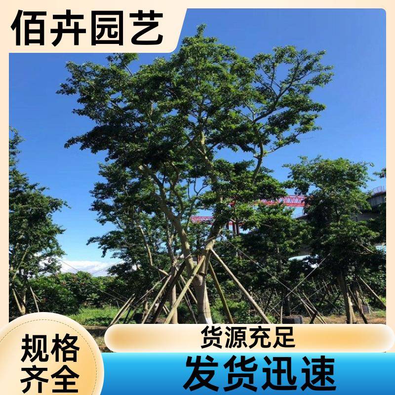 20240318/images/pkuaxHoCWDJTcpOq5ngDzK7HnG1t421x7j64SpS3.jpg