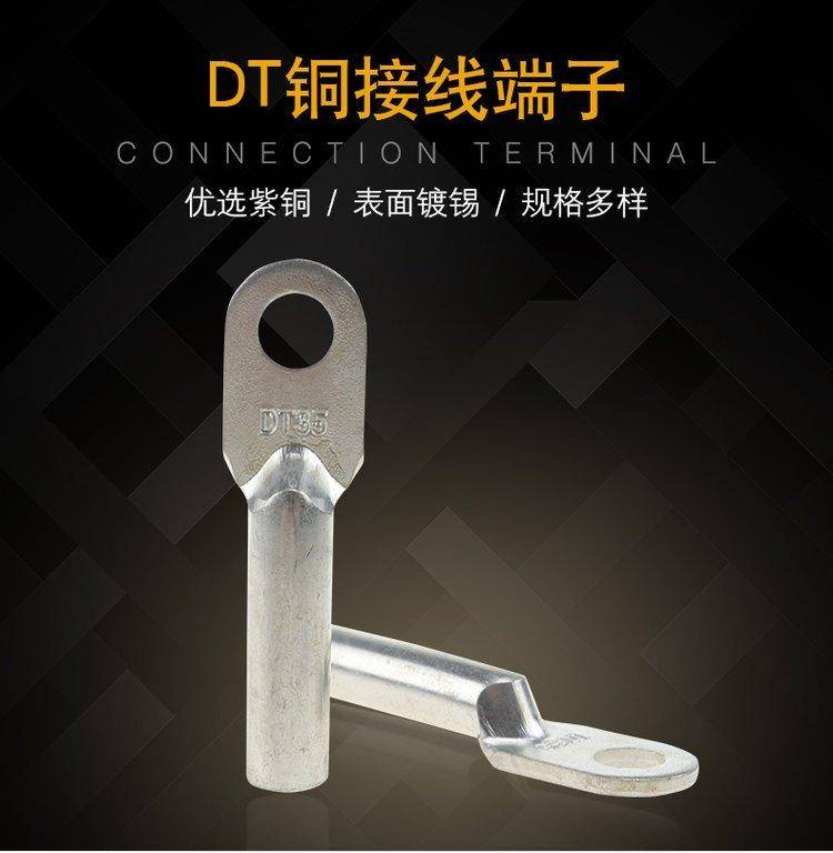 DT镀锡01.jpg