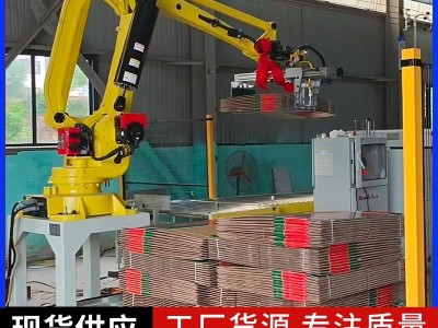 Thin box production line code machine hands图2