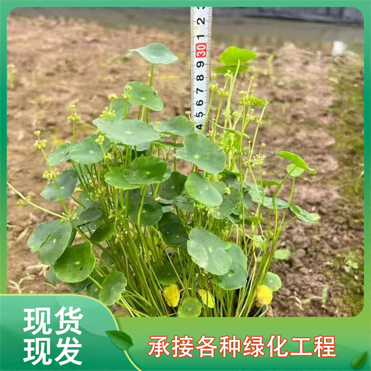 20260521/image/jpewaexoxswuxibk30f. Jpg