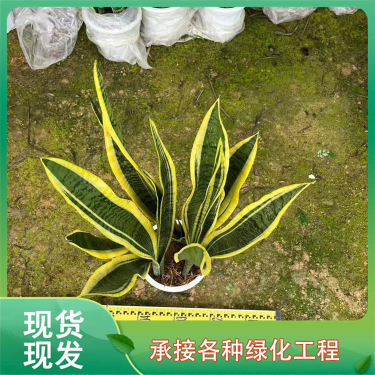 2060519/image/ul88rk88yc8ener5jmxw. Jpg