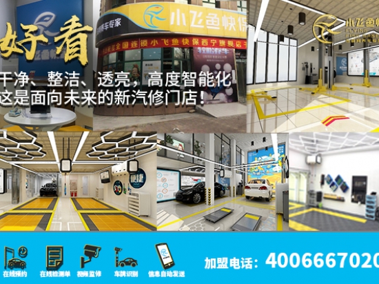 小飞鱼快保图2