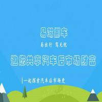 易驾挪车