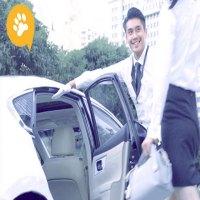 熊大网约车