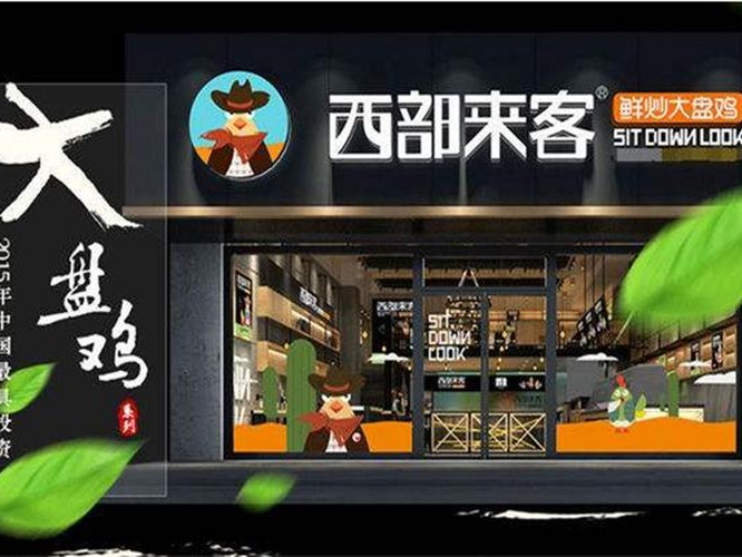 西部来客图4