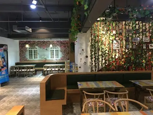 菜头图4
