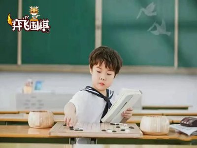 弈飞围棋图2