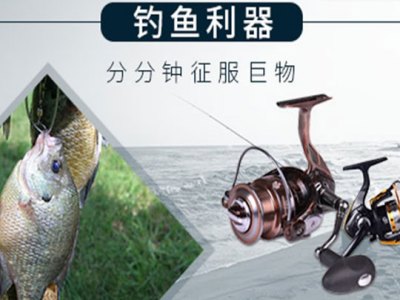 德宝渔具图3
