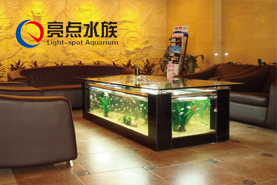 亮点水族图4