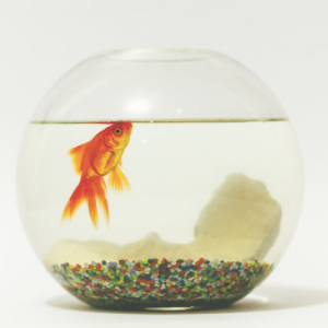 海纳利尔水族鱼缸图3