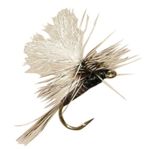 诺比渔具图2