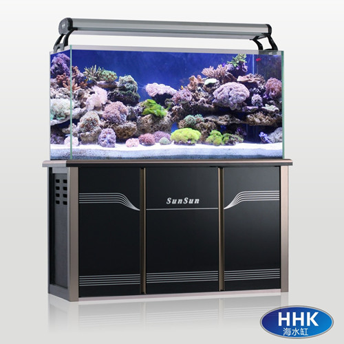森森水族图3