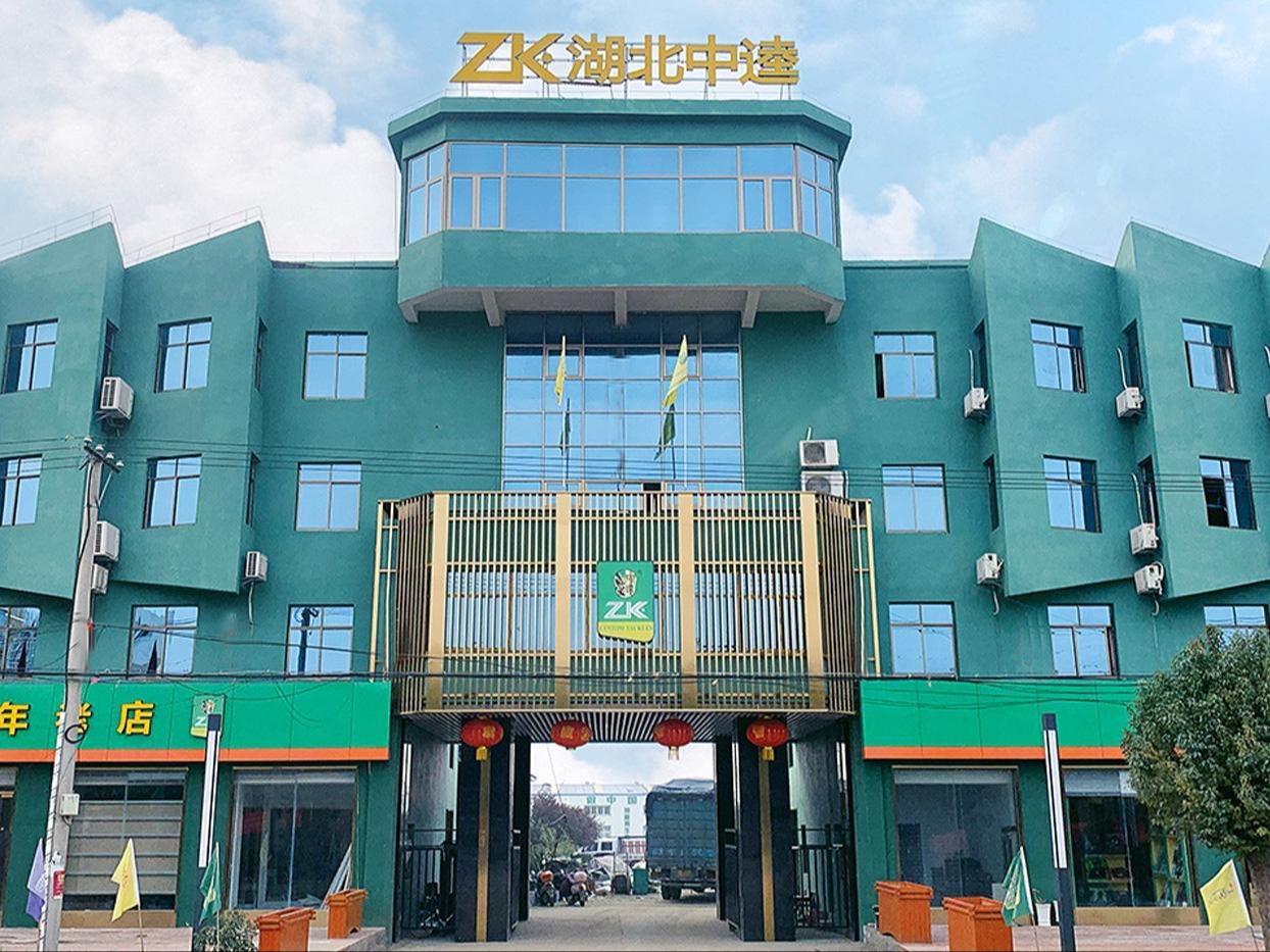 中逵图2