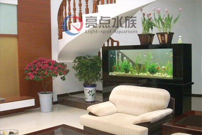 亮点水族图3