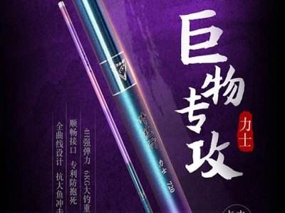 上好佰福特图2