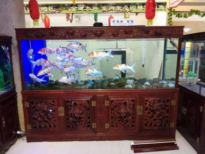 东海龙宫水族馆图2