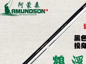 阿蒙森图4