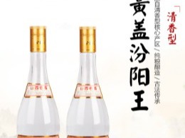 汾阳王图3