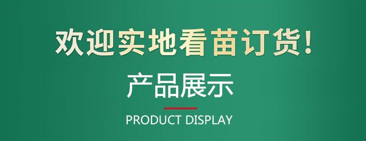 Detail pages/2024031/mosrbmqc4s8h4hl4hl4bhd8d7m8a4ep9koewd9ibc1sbxdq76iyn6acui3. Jpg
