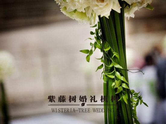 紫藤树婚礼策划