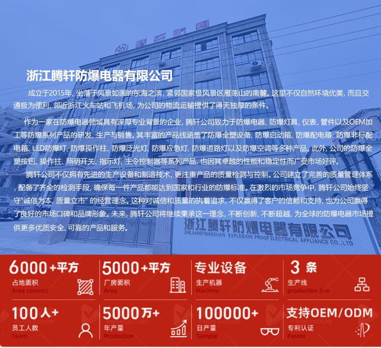防爆正压柜详情_01.jpg