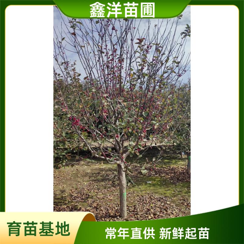 image/4ec300990d1bea6b70ff97a03ad006cb.jpg