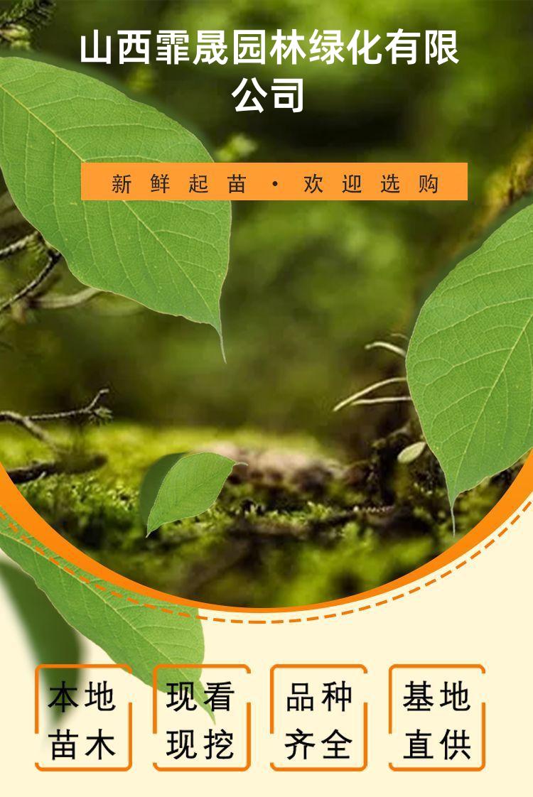 detail_pages/tmp/UNyAtNaeaGQbgp33qMVPw2yjrQ8VfwcovjQHPq5Mt0yHpQ1vuZf1bkiNaXKd.jpg