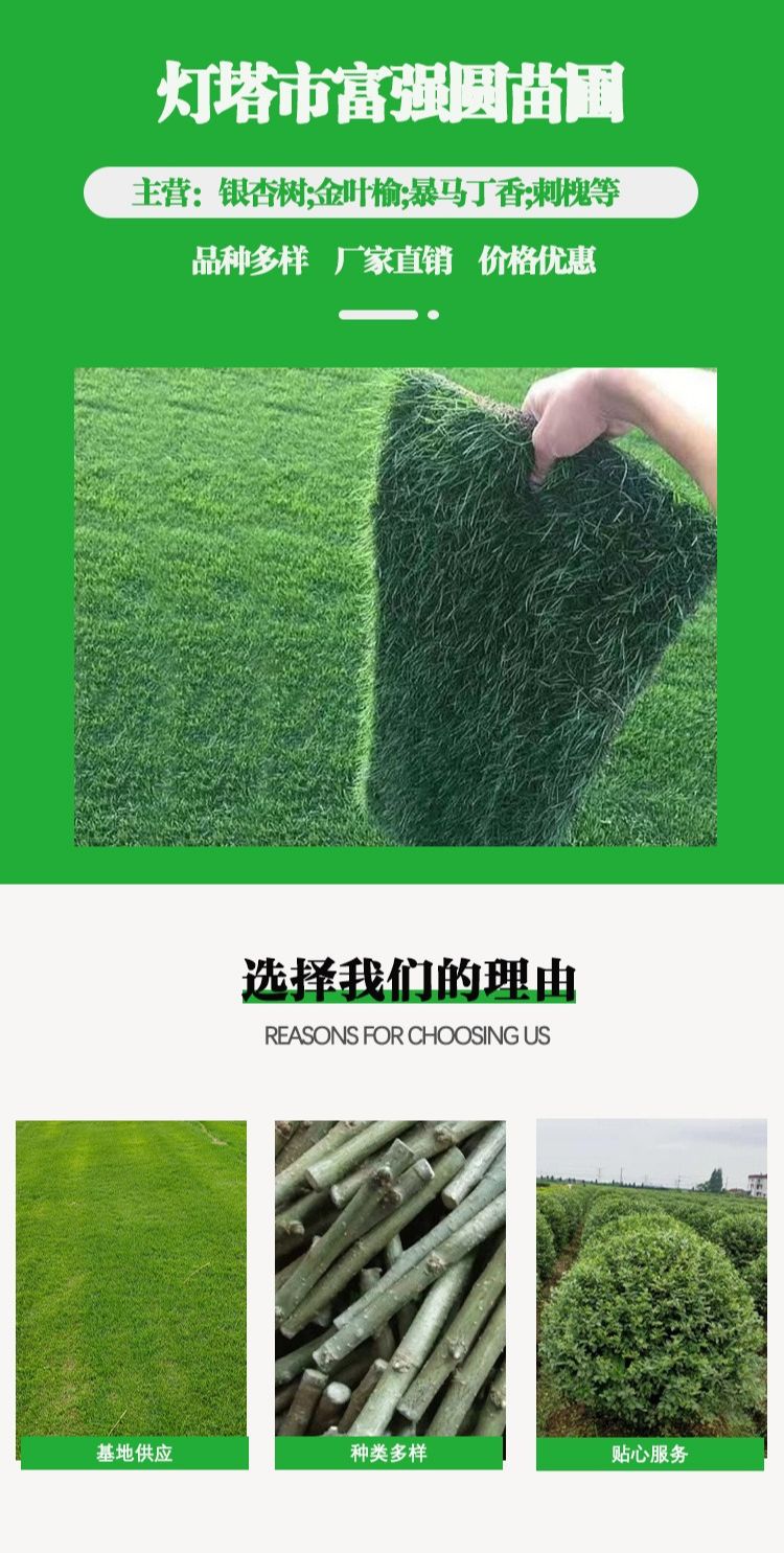 20230424/image/p7fki3z2hbbl5yw6w1gtwe.jpeg