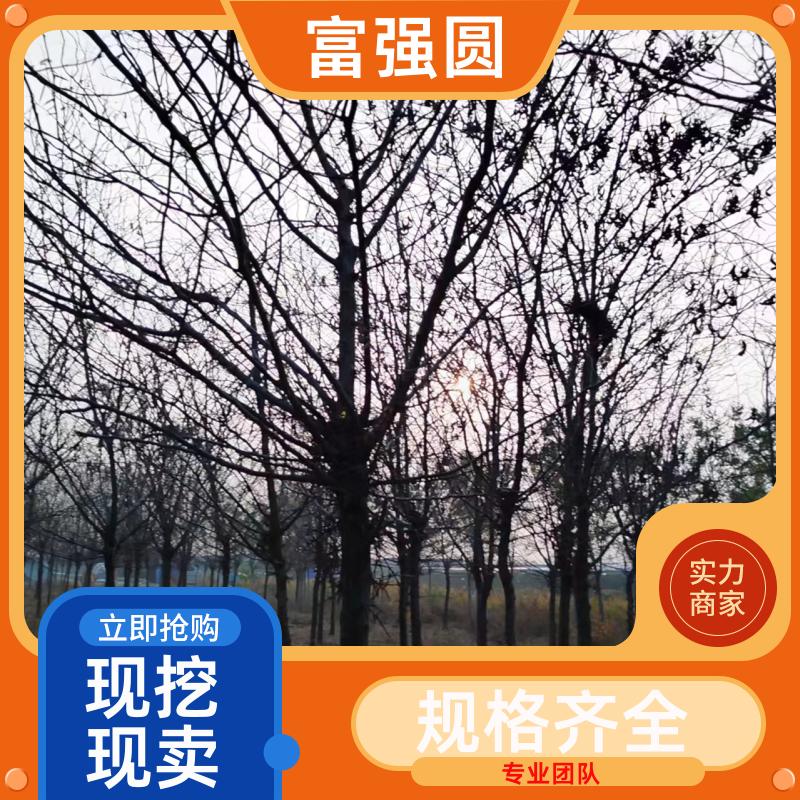 20240318/images/8tY9FRypd4sX229g7b4Vn3OzYtAeT35qt0u598W6.jpg