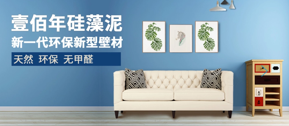 壹百年硅藻泥