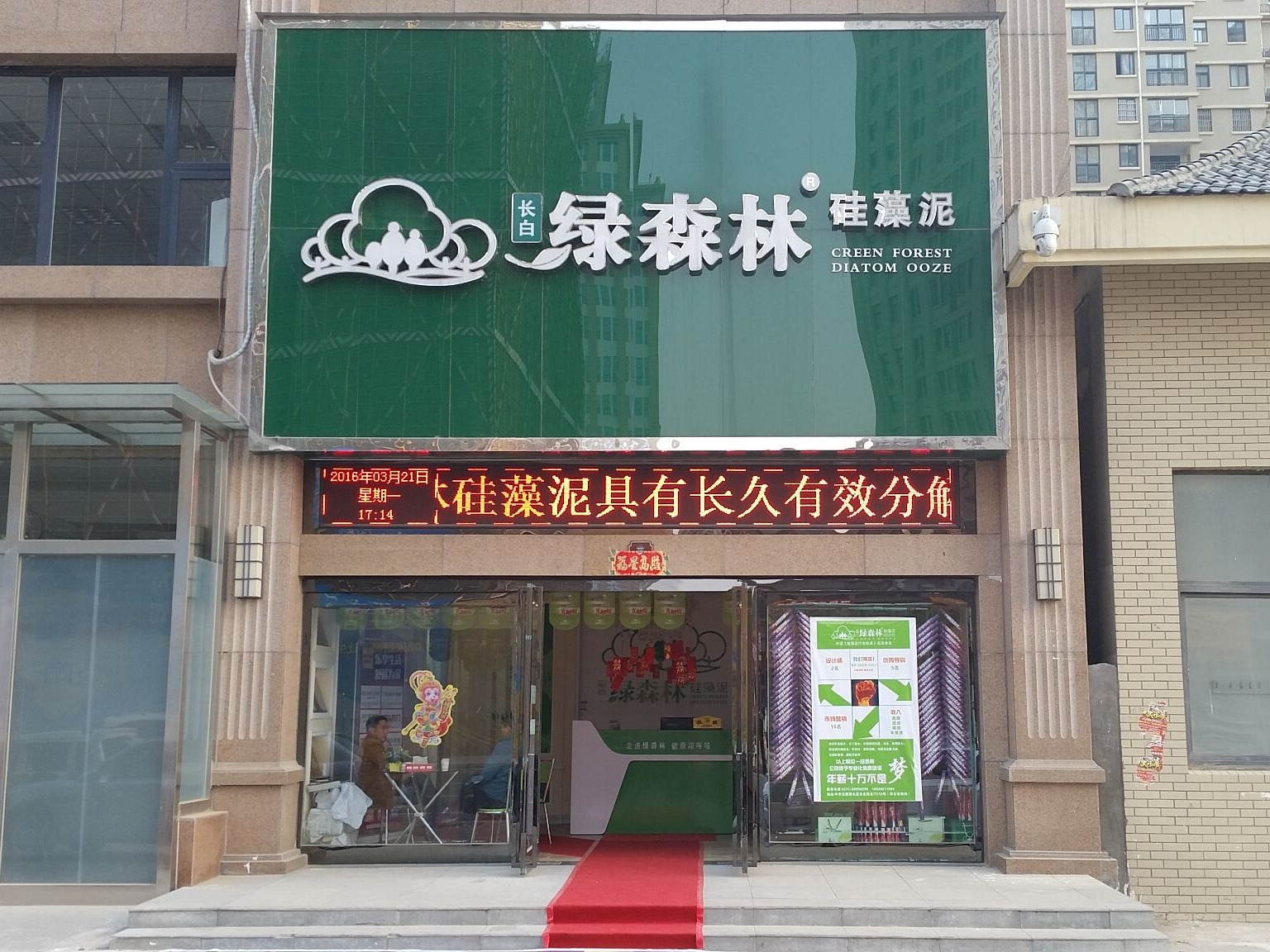绿森林