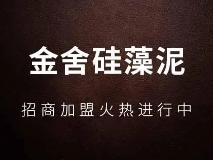 金舍硅藻泥