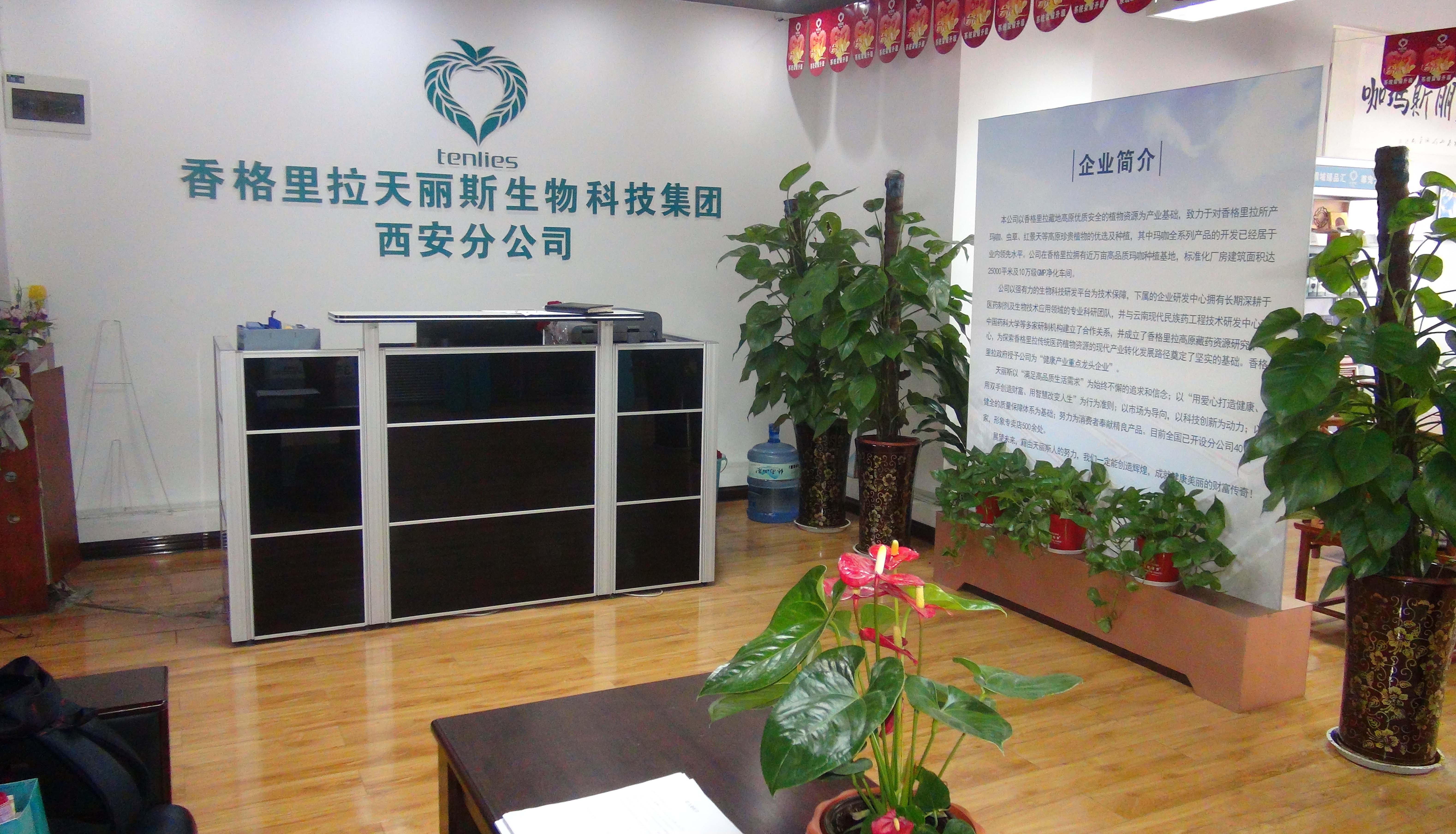 天丽斯玛咖
