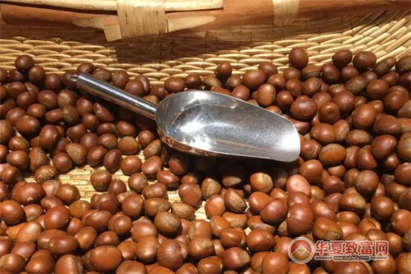 徐彪板栗