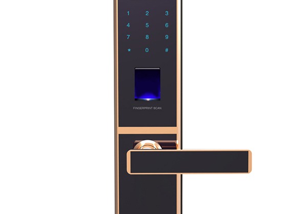 黑龙指纹锁