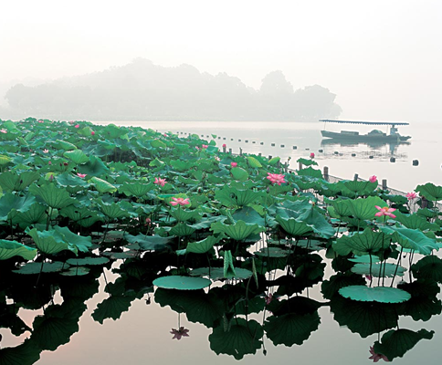 红莲湖高尔夫度假村
