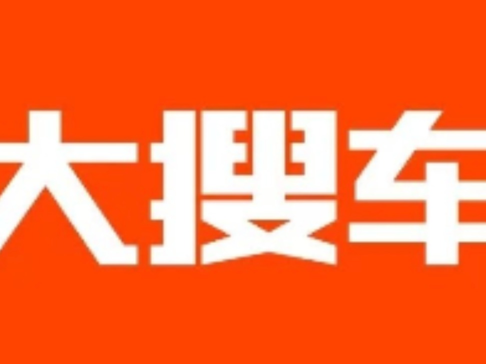 大搜车