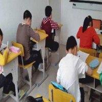 兴语传文作文培训
