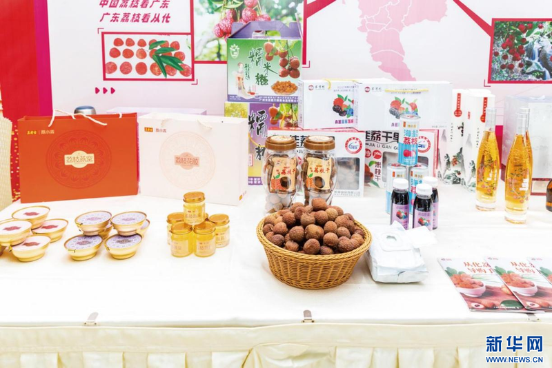 荔枝种植技术视频