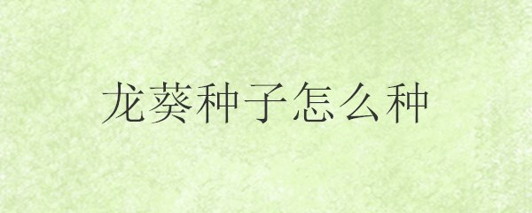 自己天竺葵种子种植方法