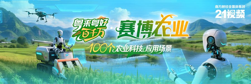 荔枝种植技术视频