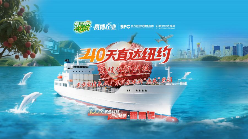 荔枝种植技术视频