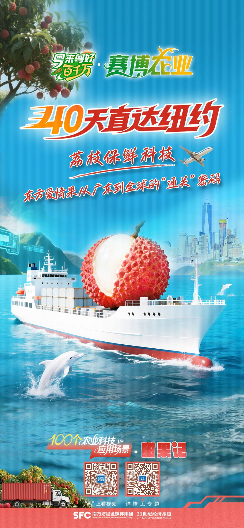 荔枝种植技术视频