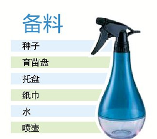 油葵芽苗菜种植技术