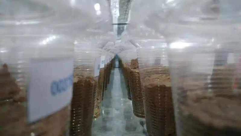 液压凿岩机工作原理图解